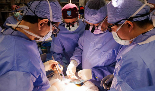 Record medical: Un american a trăit 9 luni cu un rinichi de porc modificat genetic