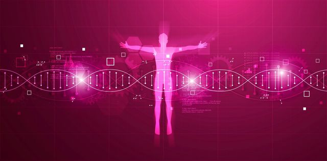 Poza pentru articolul VIDEO Este îmbătrânirea un act de sabotaj genetic? Oamenii de ştiinţă au descoperit o genă care opreşte detectarea hranei după reproducere