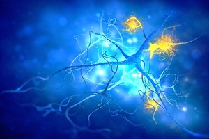 Oamenii de ştiinţă au identificat o metodă de eliminare a proteinei tau toxice din neuronii umani
