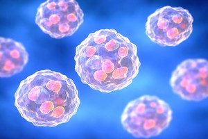 Corpul are un sistem propriu de a opri inflamaţia din organism, au descoperit oamenii de ştiinţă