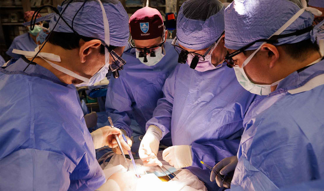 Premieră medicală: de la rinichi de porc la transplant renal uman. Rinichiul de porc a ţinut un pacient în viaţă până la găsirea unui donator uman