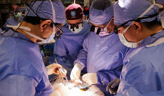 Premieră medicală: de la rinichi de porc la transplant renal uman. Rinichiul de porc a ţinut un pacient în viaţă până la găsirea unui donator uman