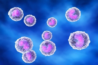 Cercetătorii au găsit o metodă prin care pot „şterge” din organism, la comandă, anumite proteine care provoacă boli