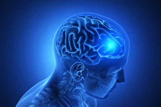 Cel mai mic implant cerebral poate monitoriza activitatea neuronală pe termen lung
