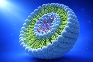 Mecanismul care ajută cancerul să se răspândească în alte organe ar putea deveni o ţintă terapeutică