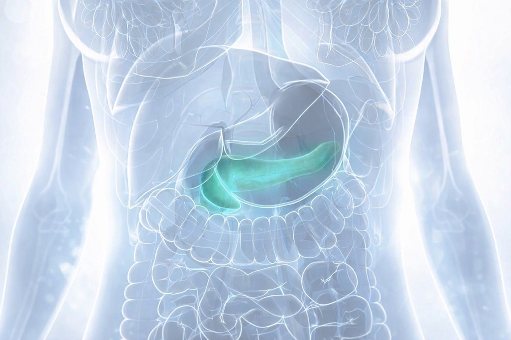 Celulele precanceroase din pancreas ar putea fi eliminate înainte să evolueze spre cancer