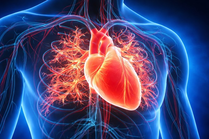 VIDEO Un fluid magnetic injectat în inimă ar putea preveni accidentele vasculare cerebrale
