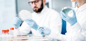 Un nou vaccin împotriva infecţiilor fungice obţine rezultate promiţătoare în studiile preclinice 