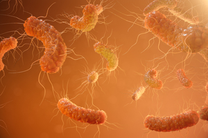 O bacterie intestinală sporeşte eficacitatea terapiei anticancer
