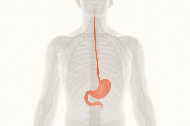 Un nou simţ ar putea explica legătura dintre apetit, comportament şi microbiom