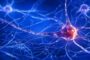 Un mecanism molecular implicat în scleroza laterală amiotrofică, identificat ca potenţială ţintă de tratament