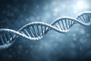 Cât de importantă este genetica pentru longevitatea umană