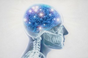 O nouă barieră celulară descoperită în creier explică mai clar cum este protejat sistemul nervos central