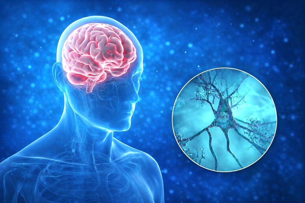 Boala Alzheimer nu poate fi tratată printr-o singură ţintă: cercetătorii propun o schimbare majoră de abordare