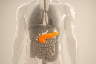 Mecanisme celulare implicate în transformarea leziunilor precanceroase în cancer pancreatic, identificate de cercetători