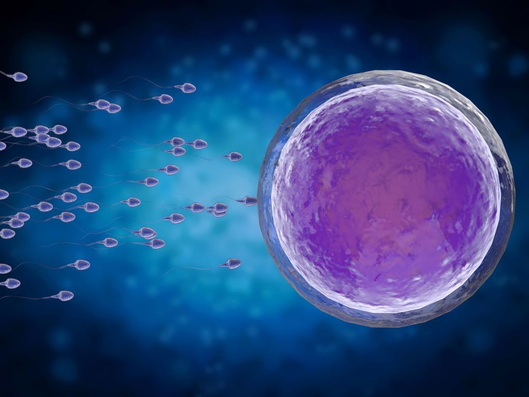 Contracepţie masculină: vasectomia nu exclude total riscul de sarcină