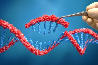 O nouă platformă de editare genetică poate corecta simultan mai multe mutaţii din ADN, deschizând calea către terapii pentru un număr mai mare de boli ereditare