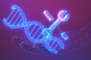 Un medicament experimental declanşează repararea ADN-ului şi poate accelera vindecarea după  infarct sau inflamaţie