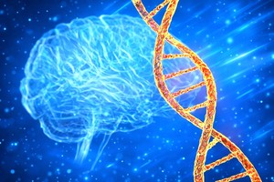 Terapia genică pentru paraplegia spastică ereditară atinge un prag de validare experimentală