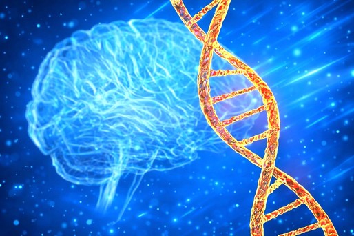 Terapia genică pentru paraplegia spastică ereditară atinge un prag de validare experimentală