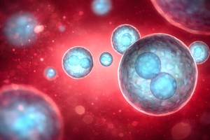 O proteină din sânge ar putea întineri sistemul imunitar odată cu vârsta