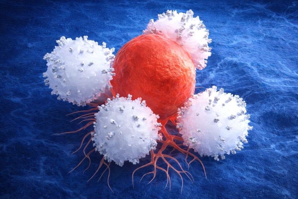 O nouă abordare împotriva cancerului: reprogramarea celulelor imune direct în organism. Metoda a eliminat rapid tumorile în studii preclinice