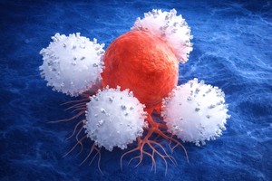 O nouă abordare împotriva cancerului: reprogramarea celulelor imune direct în organism. Metoda a eliminat rapid tumorile în studii preclinice