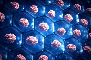 Oamenii de ştiinţă au descoperit o nouă metodă de eliminare a „celulelor zombie” implicate în procesul de îmbătrânire