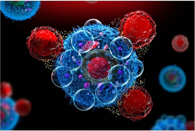 Rezultate promitatoare in tratarea cancerelor solide, prezentate la ASCO2025