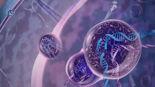 Un mecanism de reparare a ADN-ului, descoperit recent, ar putea transforma tratamentele împotriva cancerului