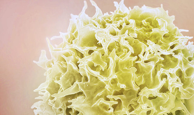 Cercetătorii au identificat potenţiale tratamente pentru prevenirea unei infecţii virale care pune viaţa în pericol