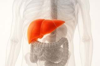 Un medicament experimental care previne şi inversează fibroza hepatică, testat pe modele animale