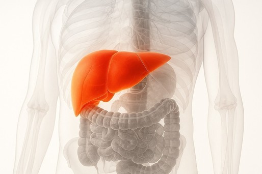 Un medicament experimental care previne şi inversează fibroza hepatică, testat pe modele animale