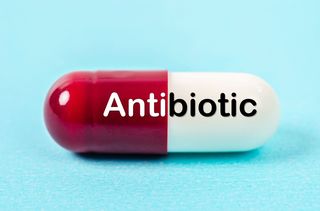 Un antibiotic obişnuit ar putea trata boala inflamatorie intestinală, potrivit unui nou studiu