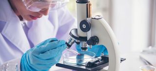 GSK cumpără o firmă americană de biotehnologie specializată în terapii împotriva alergiilor alimentare