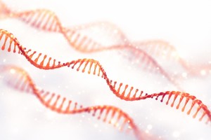 EMA introduce trei noi instrumente în programul PRIME pentru accelerarea dezvoltării medicamentelor inovatoare în UE