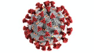 Poziţia Comisiei de Microbiologie a CMR în urma afirmaţiilor publice susţinute de un medic din judeţul Bihor, conform cărora: „persoanele vaccinate anti-Covid-19 le pot îmbolnăvi pe cele nevaccinate"