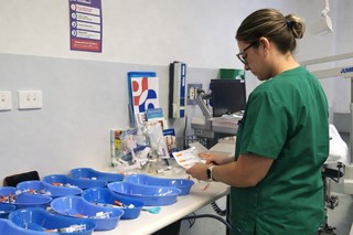 Un test simplu care poate exclude alergia la penicilină la majoritatea pacienţilor, confirmat de cel mai mare studiu internaţional