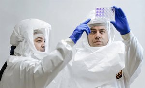 Mutaţiile virusului gripei aviare generează alarmă cu privire la riscul de transmitere la om în Europa