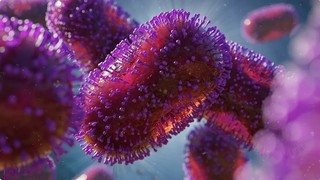 Anticorpii identificaţi la un pacient vindecat ar putea duce la un tratament pentru infecţia cu virusul mpox
