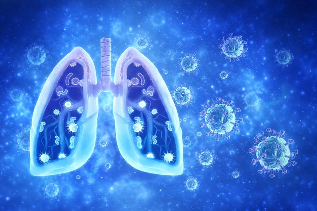腸内微生物叢の構成がインフルエンザ感染後の肺炎のリスクに影響を与える可能性があることが研究で示唆されている
