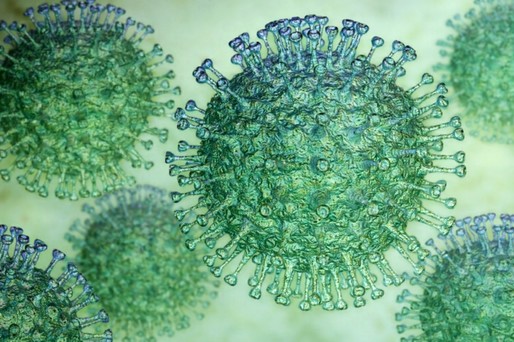 Virusuri emergente, în atenţia experţilor ca potenţial risc major pentru sănătatea publică
