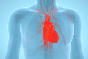 Factorii sociali, de mediu şi politici sunt ignoraţi în prevenirea bolilor cardiovasculare, avertizează experţii