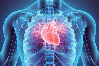 O descoperire care ar putea preveni insuficienţa cardiacă la pacienţii cu diabet