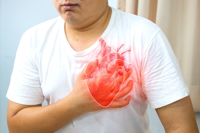 Les chercheurs ont identifié une protéine du système immunitaire qui provoque une grave blessure cardiaque après une crise cardiaque