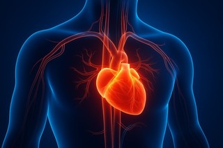 Diabetul zaharat de tip 2 şi impactul său direct asupra structurii şi funcţiei inimii