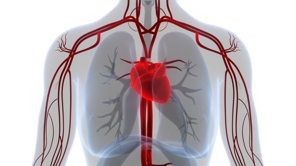 Bypass versus stent la femei: avantaj de supravieţuire pe termen lung pentru chirurgia cardiacă