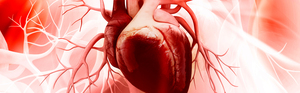 Inima umană poate produce celule musculare noi  după un infarct miocardic, potrivit unui studiu realizat în premieră pe pacienţi