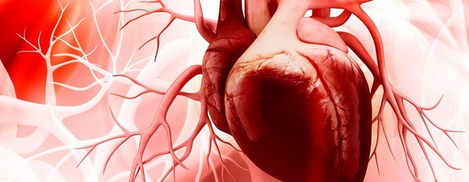 Inima umană poate produce celule musculare noi  după un infarct miocardic, potrivit unui studiu realizat în premieră pe pacienţi