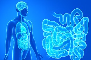 Sensibilitatea la gluten nu este provocată de gluten? Specialiştii reevaluează intoleranţa la gluten, care ar putea fi, de fapt, o problemă a comunicării dintre intestin şi creier